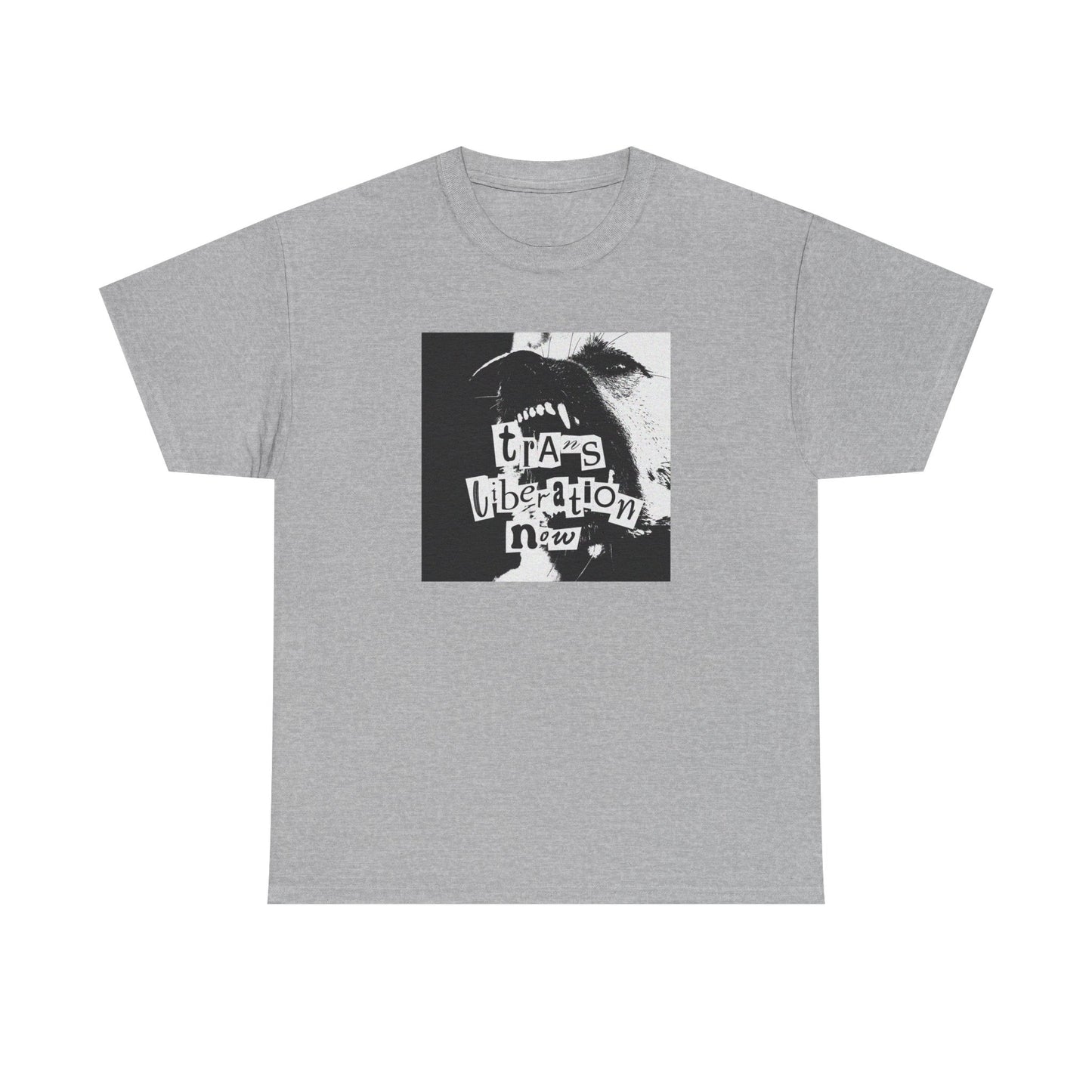 trans liberation now classic white unisex tee