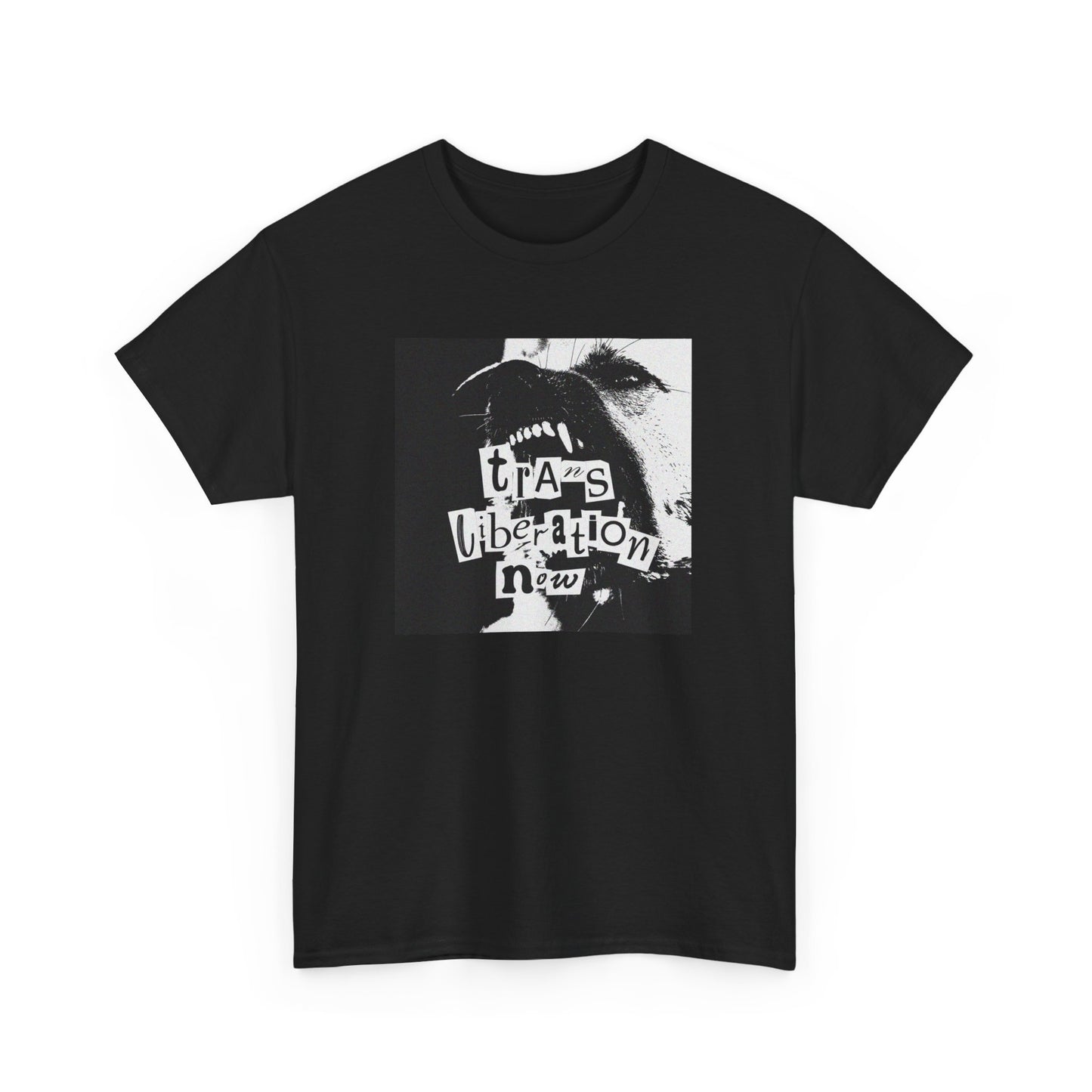 trans liberation now classic white unisex tee