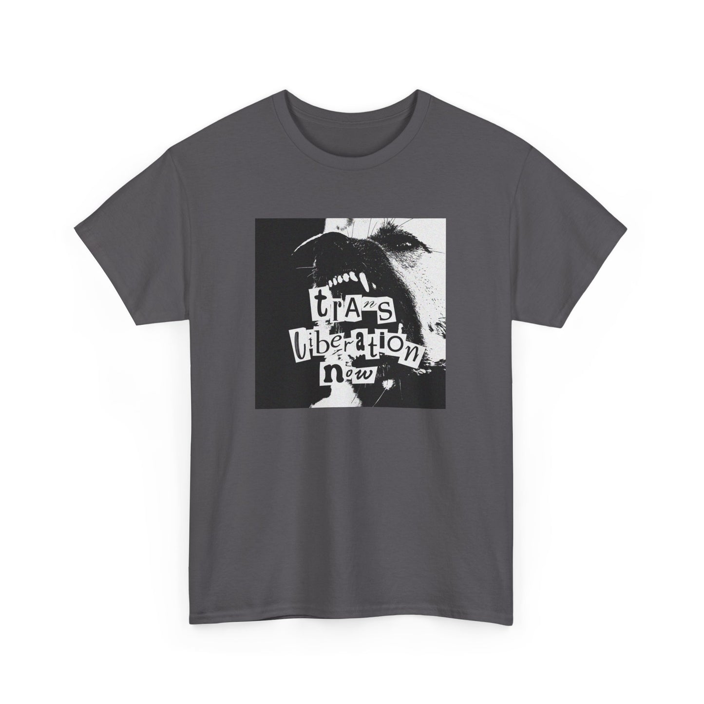 trans liberation now classic white unisex tee