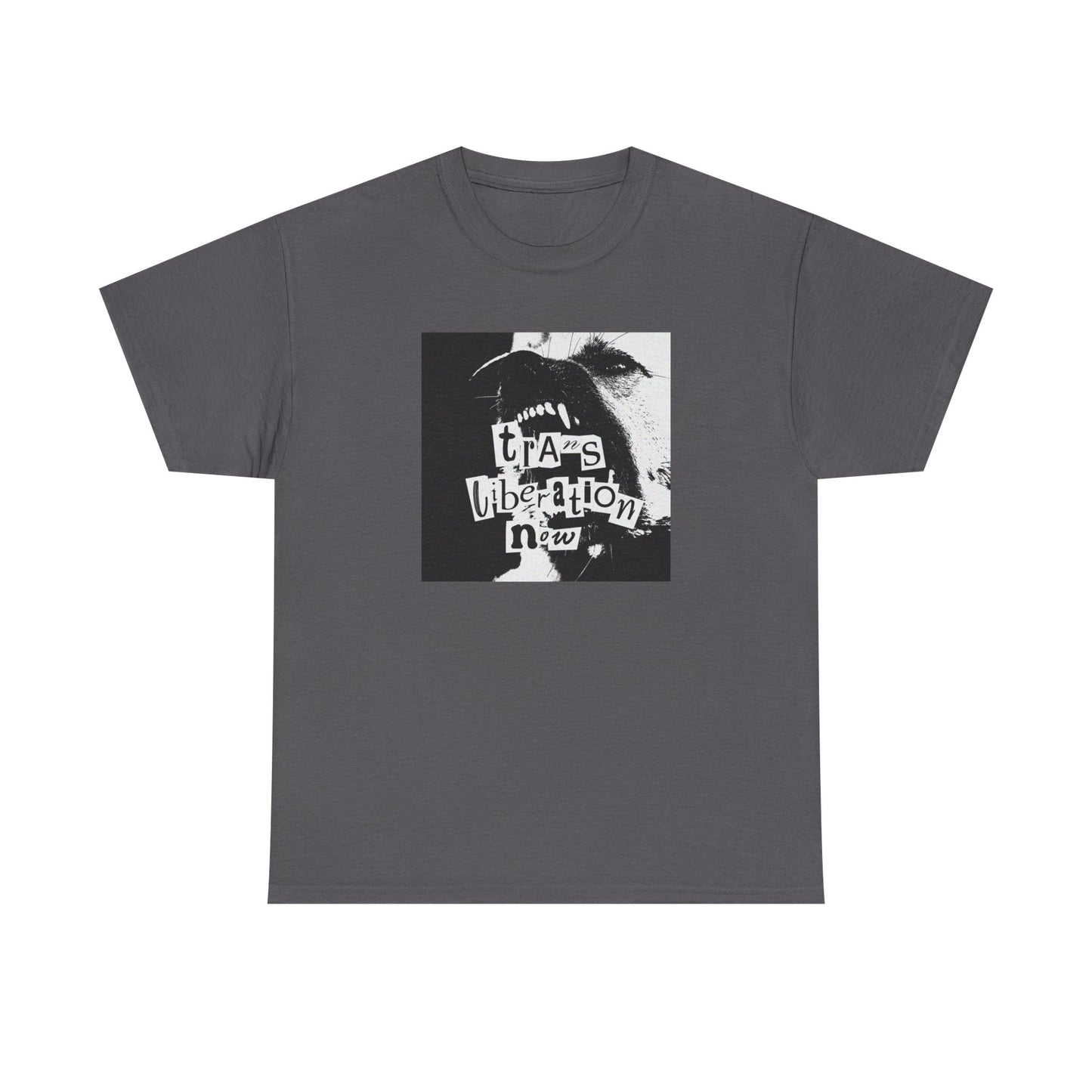 trans liberation now classic white unisex tee
