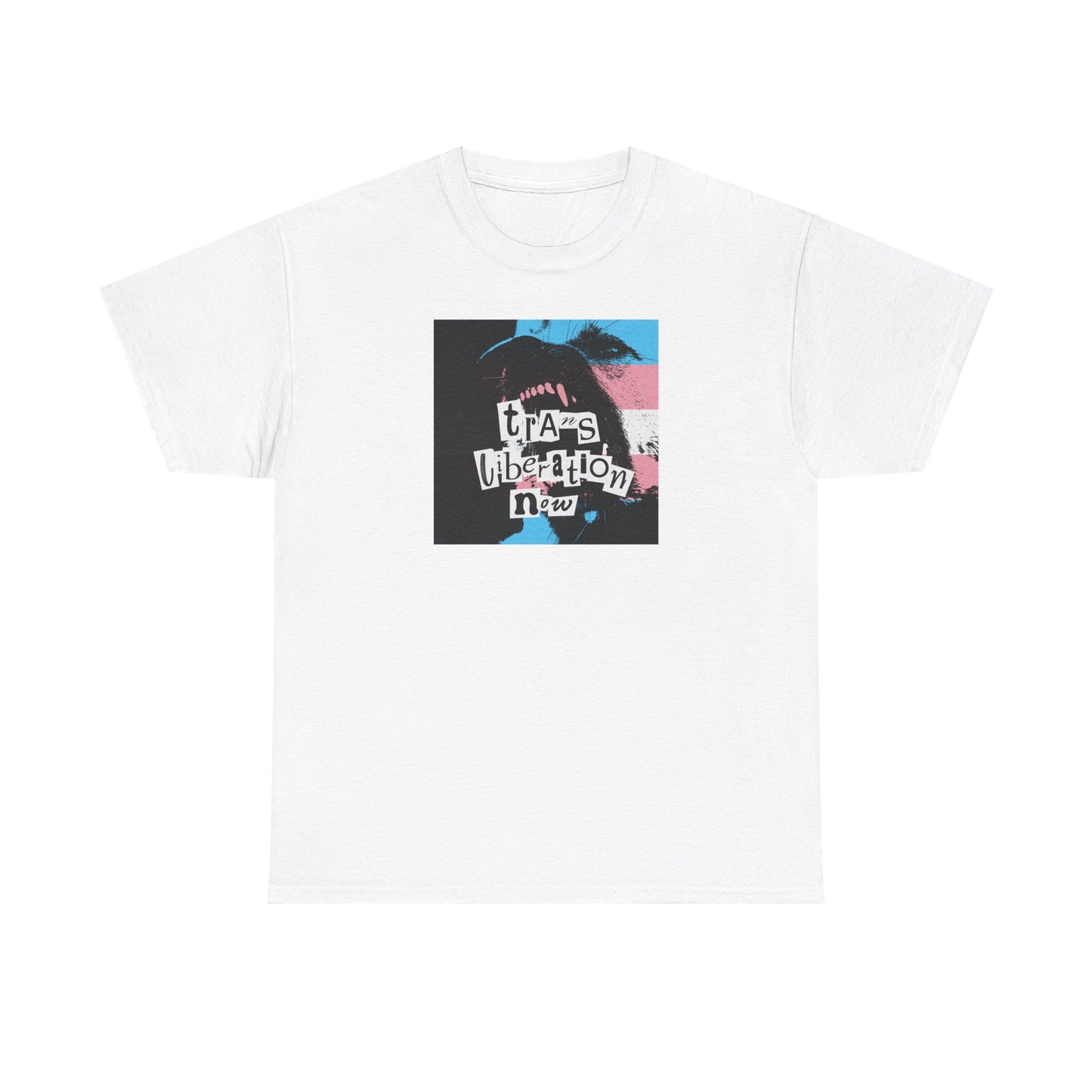 trans liberation now pride flag variant tee