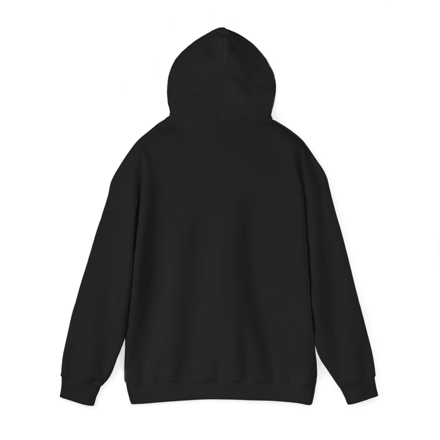 pool boy at the vampire mansion black unisex hoodie