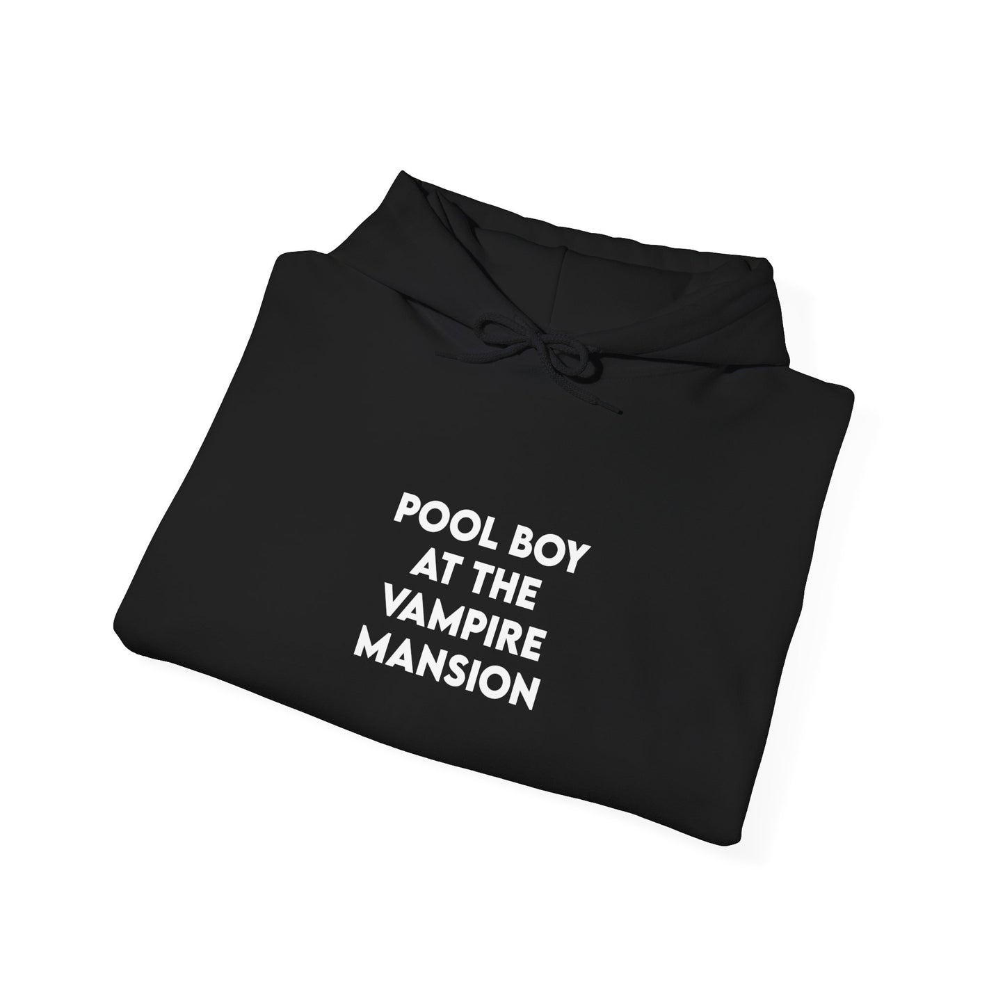 pool boy at the vampire mansion black unisex hoodie