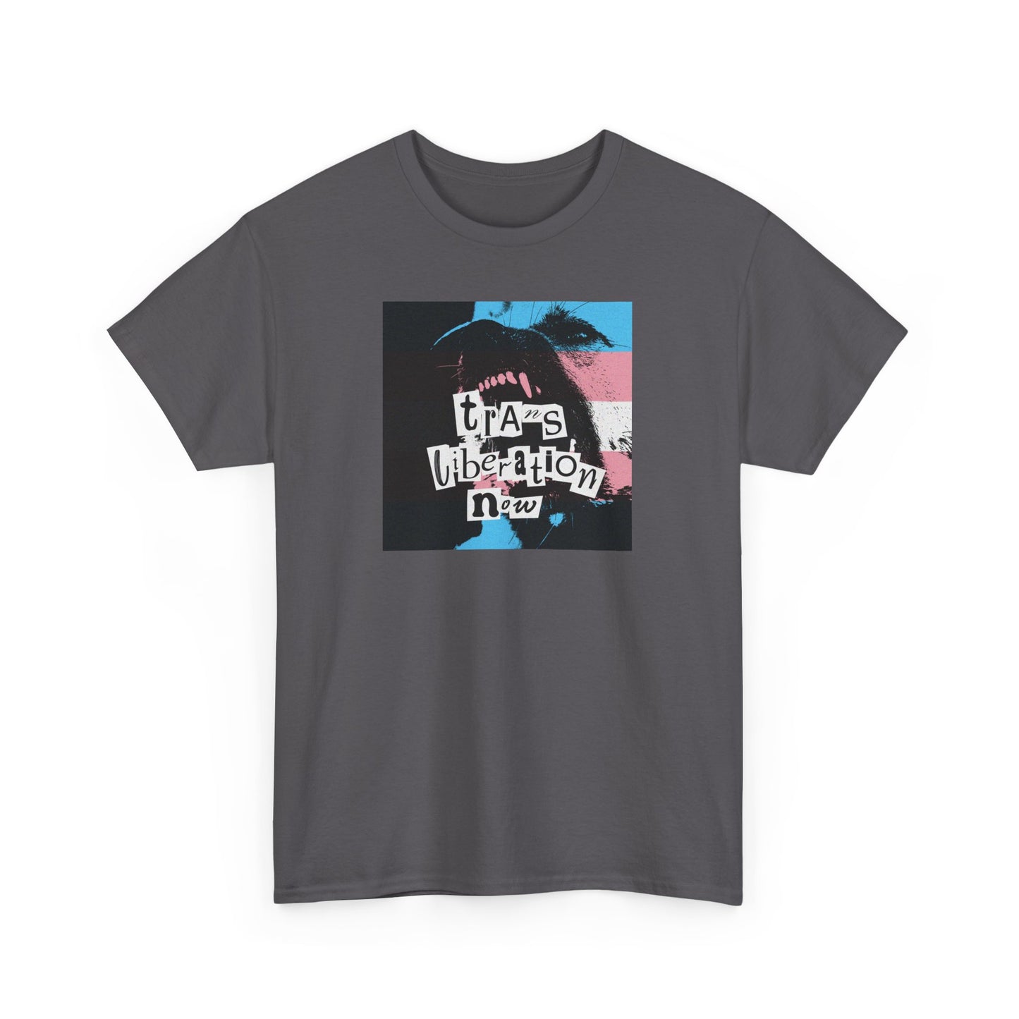 trans liberation now pride flag variant tee