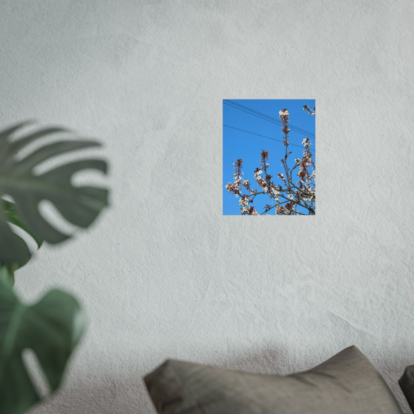 all my blossoms 8x10 fine art print